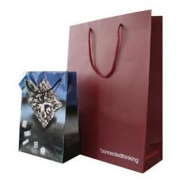 China Euro Paper Shopping Carrier Bags factory