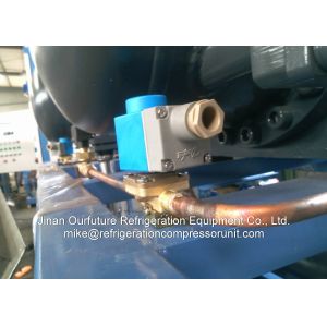 Garlic Cold Room Hanbell Condensing Unit Danfoss Valves PLC