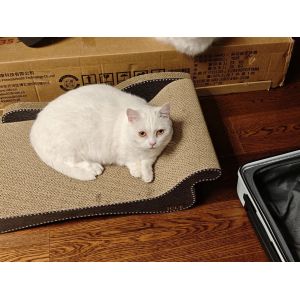 Cat Scratcher with Catnip Premium Corrugated Indoor Cat Furniture Durable