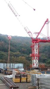 China Mini Luffting Tower Crane D2520 3tons Tower Crane Design for South Korean factory