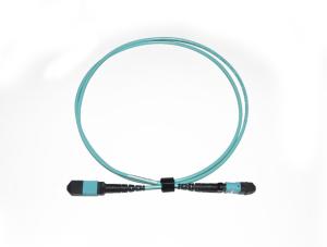 China 12 Fiber 40GbE, 40GBASE-SR4, OM3/OM4 Plenum Aqua MTP Jumper factory