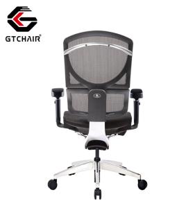 China Ergonomic Project Office Chair Adjustable Lumbar Support Swivel Mesh factory
