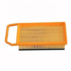 China Car Engine Auto Air Filter Air Cleaner 1444 CW 1444 CX 9650366480 9650367680 CA9924 C35110 Automotive Filtro De Aire factory