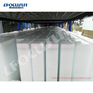Manufacturing Plant Ice Block Maker with Cold Storage Room and Low Voltage
