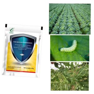 China Organic Natural Vegetable Insecticides Rapae Granulosis Virus WP PrGV factory