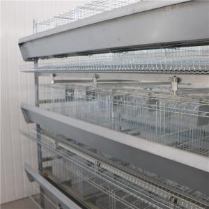 China Automatic H Type Layer Chicken Cage Hot Galvanized Steel factory