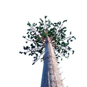 Bionic Tree Communication Camouflage Cell Tower Lightning Protection