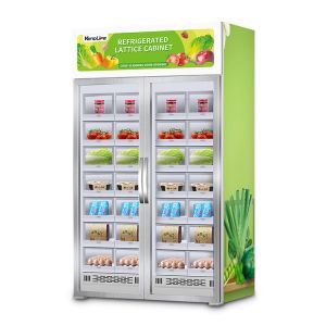 4G Locker Vending Machines , MDB System 24 Hours Vending Machine