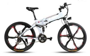 China Lightweight 36V 250W Collapsible Electric Bike factory