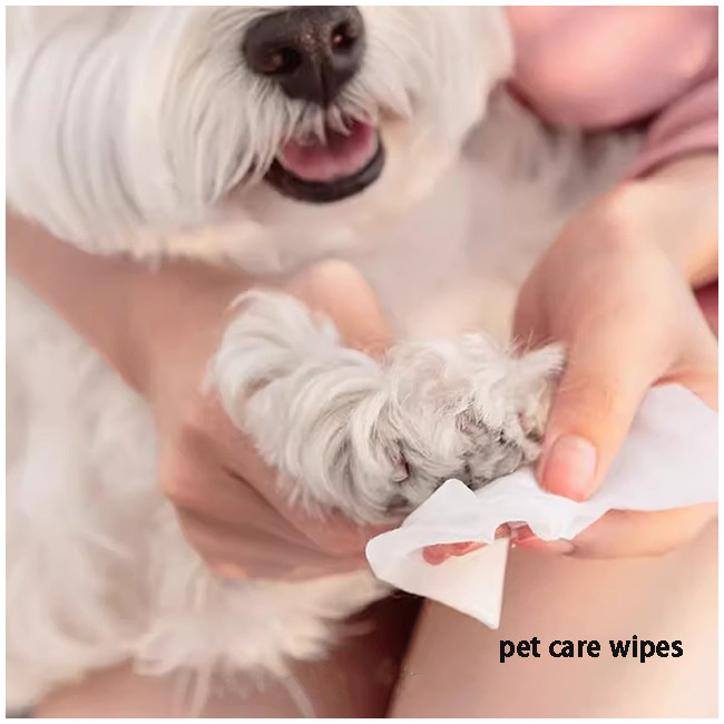 80 Large Pack Cleaning Cats Dog Wet Wipes No Wash Deodorizing No Fragrance Universal