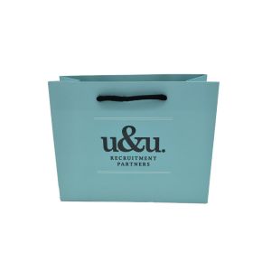 Personalised Printed Matt Lamination Art Paper Gift Bags with Handles