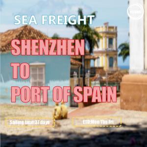 China CIF FOB Sea Freight China To Spain Port Trinidad Tobago Worldwide Cargo Shipping factory