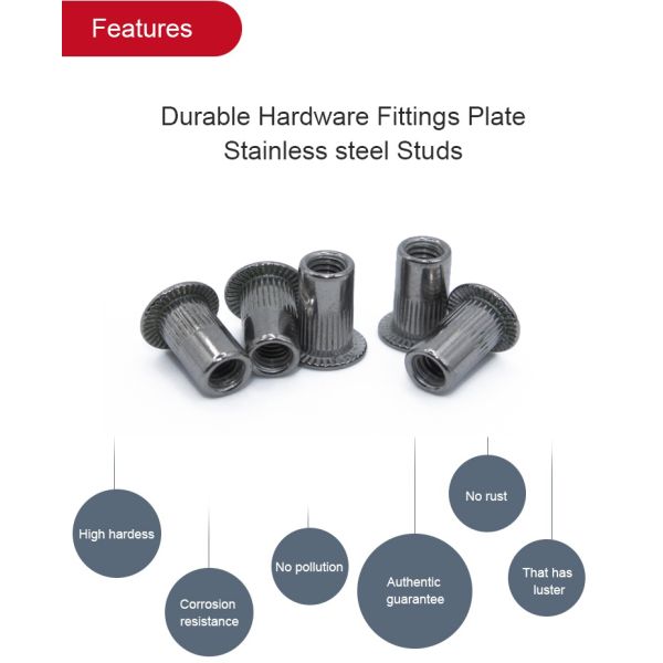 Custom Stainless Steel Hollow Rivet Nuts Inner Threaded Flat Head PE Bag Carton Box Pallet