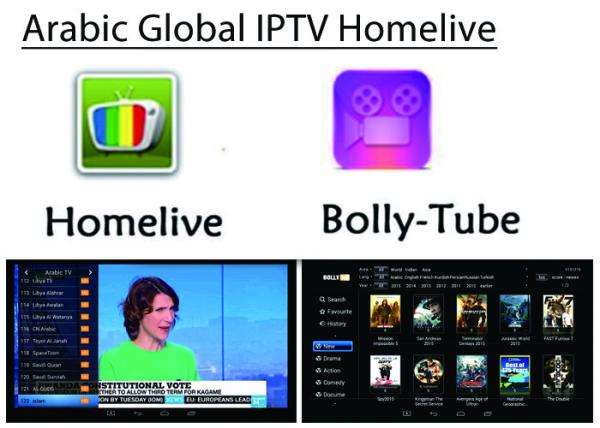 Arabic IPTV Bein OSN Africa Europe USA Indian Global Live channels + VOD stable