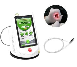 China 15W Varicose Vein Removal Machine Berylas 980nm Diode Laser Equipment factory