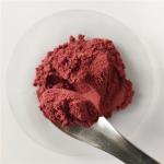 Best Selling Products Organic Acai Berry Powder In Bulk Stock