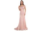 Dark Pink Mermaid Beaded Middle Eastern Dresses / Embroidered Romantic Wedding