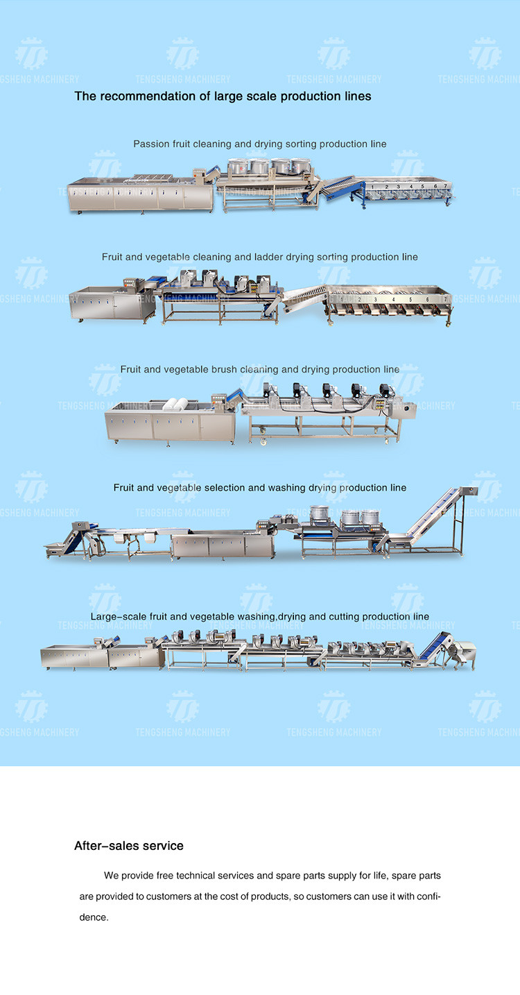 Multifunction Onion Slicer Vegetable Cutting Machine 100KG/H Capacity
