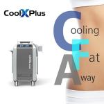 4 Handles Double Chin Cryolipolysis Fat Freezing Machine Best Price Cryolipolysi