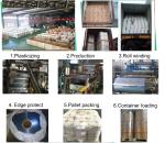 Transparent and Metallized Film for Greenhouse Purpose Blow Molding Processing