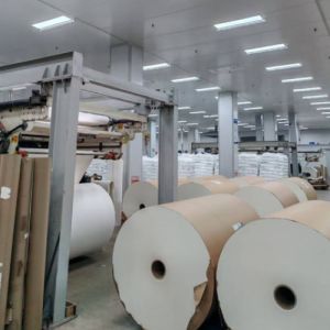 China Raw Recycled Material Paper Roll for Paper Cups PLA Coating Paper Rolls for Coffee Cup Making on sale