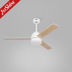 Power Saving 230V Modern Indoor APP Control Ceiling Fans 100% Copper Motor