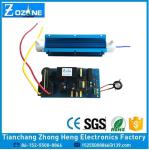 Water Treatment 10g/Hr Tube Ozone Generator Ozone Quartz Tube