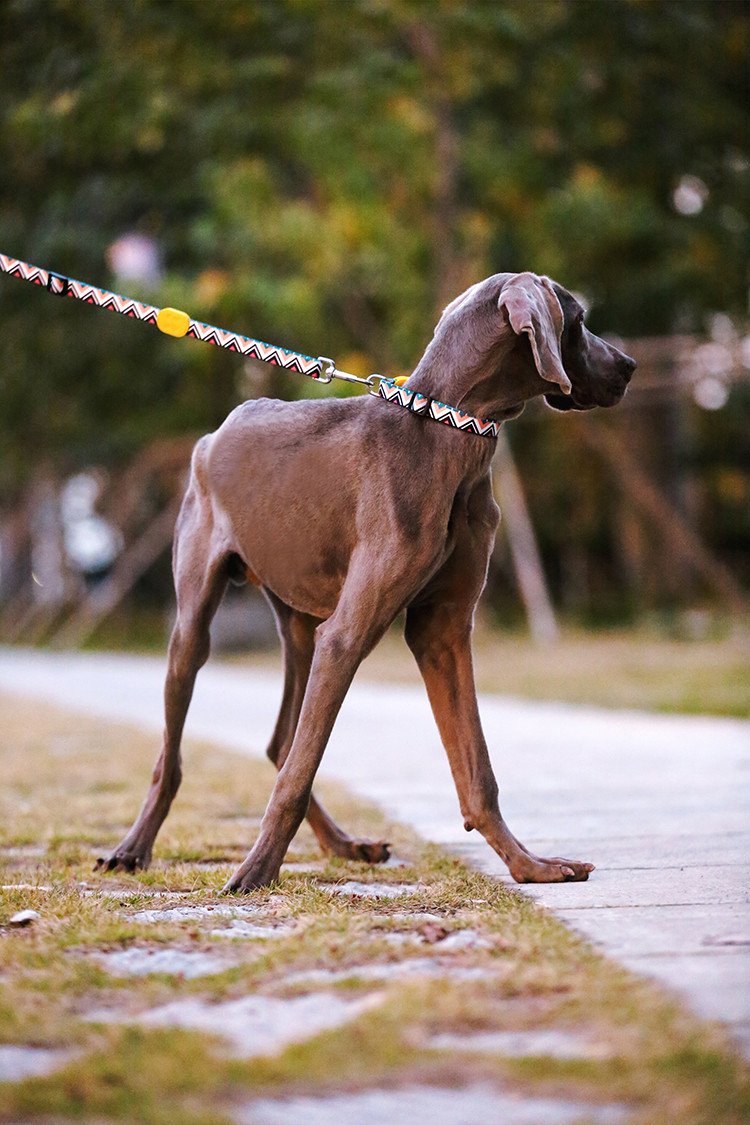 0.9m 3 Foot Halloween Anti Pull Dog Leash Accessories Heavy Polyester Rope Totem