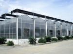 Flower Multi Span Greenhouse / Venlo Style Greenhouse Cover Material Polycarbona