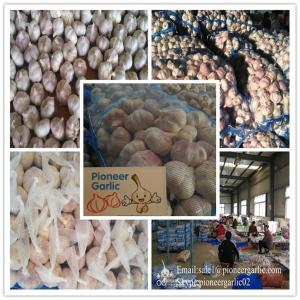 China 2018 new crop garlic on sale Fresh Garlics fresh white garlic/top quality factory