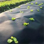 Premium 5oz Pro Weed Barrier Landscape Fabric Ground Cover Heavy Duty Commercial