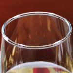 Classic Craft 450ml 15oz Beer Glasses