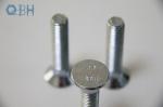 DIN608 Short Square Neck CL8.8 Carbon Steel Bolt