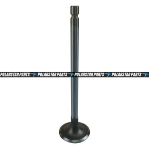 China Cummins Intake And Exhaust Valveslve NT855 Diesel Engine 145701 3803524 factory