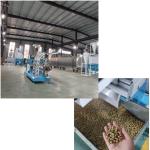 CE Approve Floating Fish Feed Pellet Production Line Pet Feed