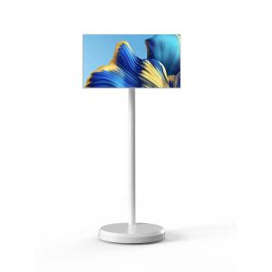 China 21.5 Inch Home Entertainment Lcd Wireless Touch Screen Standbyme Tv Live Streaming Mobile Smart Tv factory