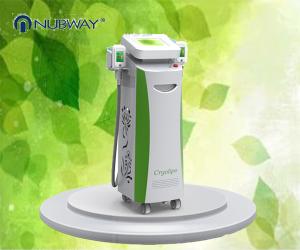 China hot sale 5 handles multifunctional cryolipolysis body slimming machine factory
