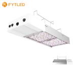 Newest LED Grow Light 5 years warranty with good LED grow light wavelength