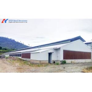 Fully Automatic Galvanized Poultry Farm Layer Cage with Feeding System
