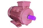 2.2KW Three Phase Induction Motor IE1/IE2 MS100L1-4 For Corn Grits Milling