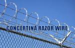 Bto-22 Galvanized Concertina Razor Wire Diameter 600mm Loops For Anti Climbing