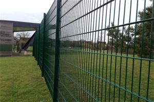 China Hot Sales Twin Wire Mesh Fence Panel For Garden Fence With Peach Post factory