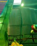 Green Mirror Color Sheet Pvd Coating Decoration Stainless Steel Plate