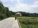 Steel Structural Party Outdoor Tent , Garden Dome , Green house round tent clear