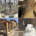 1/2 inch Chicken Wire Fence, Supports Poultry Netting Cage Fence Galvanized