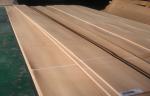 Plywood Sliced Cut Natural European Steamed Beech Wood Veneer Sheet