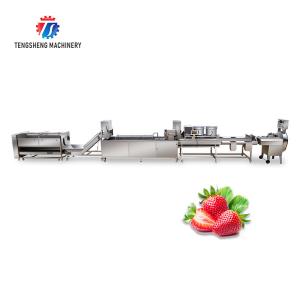 China SS304 Fruit And Vegetable Processing Line For Central Kitchens factory