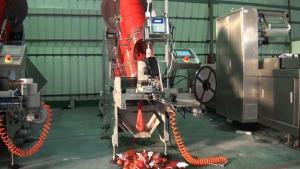 China Number Counting Net Bag Clipping Line factory