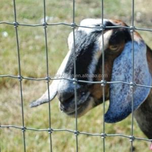 China Metal Type Iron Pasture Fence 2.5mm Wire Diameter for Goat Farming 4ft-5ft-6ft-8ft factory