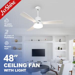 China 48 Inch Dc Circuit Soundless Ceiling Fans 220 Volt Energy Saving factory